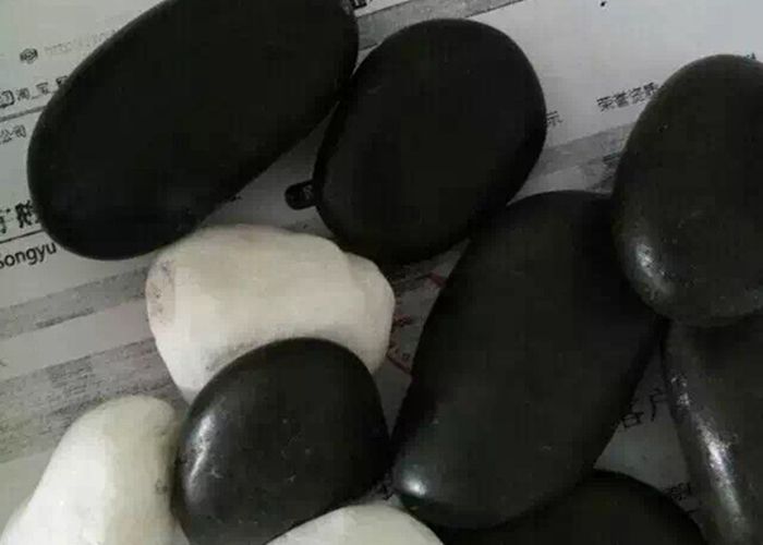  午夜AAAAAA片免费观看滤料